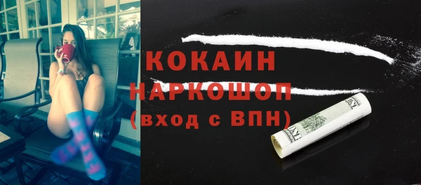 бошки Ельня