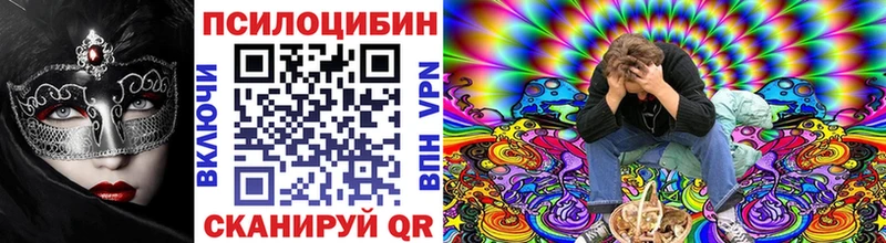 Купить где Данков Псилоцибиновые грибы мицелий