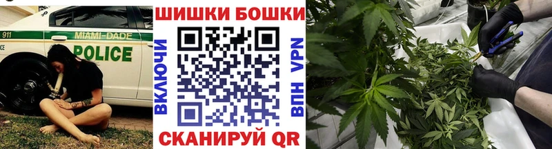 Бошки марихуана марихуана  Купить закладки  Данков 